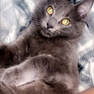 Meet your Posher, Kylee